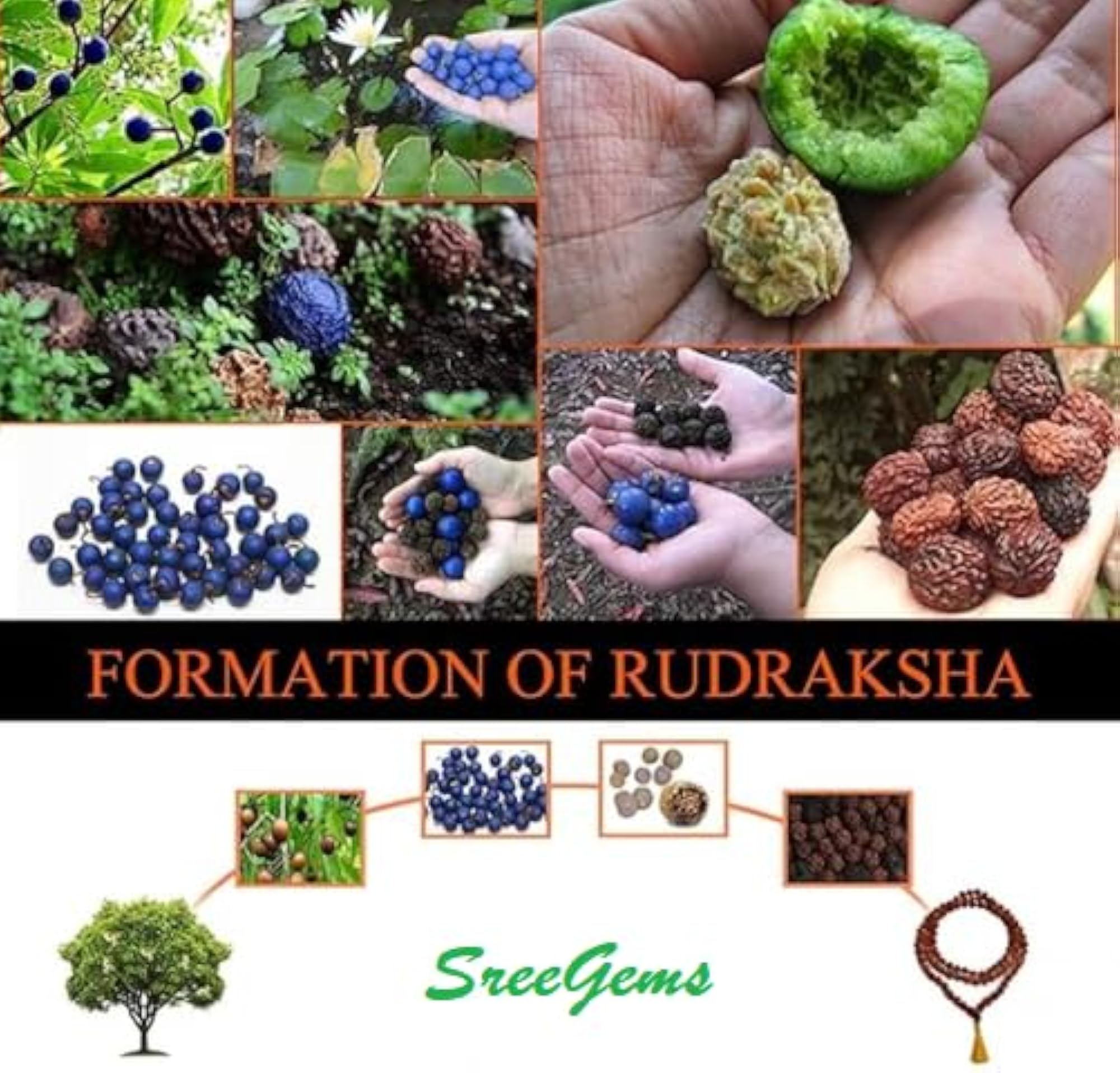 5 Mukhi Rudraksha Mala, 108 Beads, Unisex
